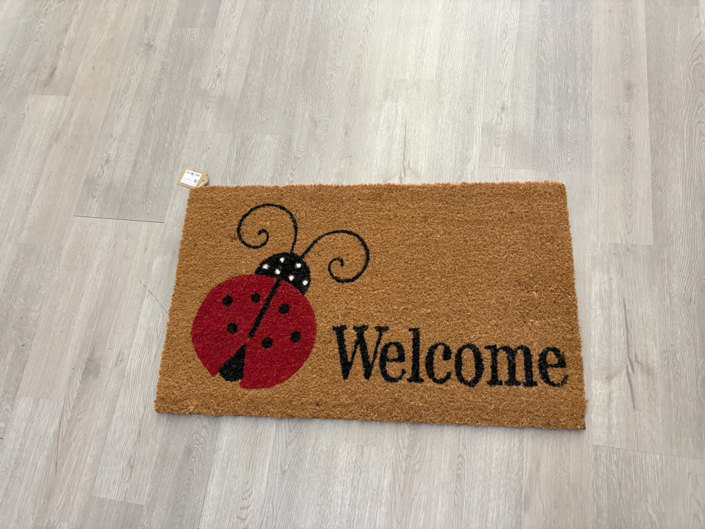 Welcome Ladybug Door Mat